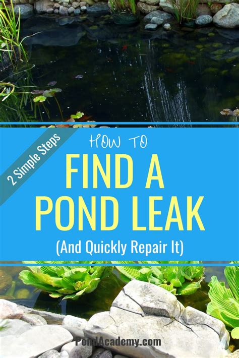 How To Best Find And Fix Pond Leaks Quickly